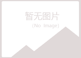 秦皇岛紫山咨询有限公司